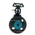 API602 1500lb Forged Steel A105 Flange Connection End Gate Valve